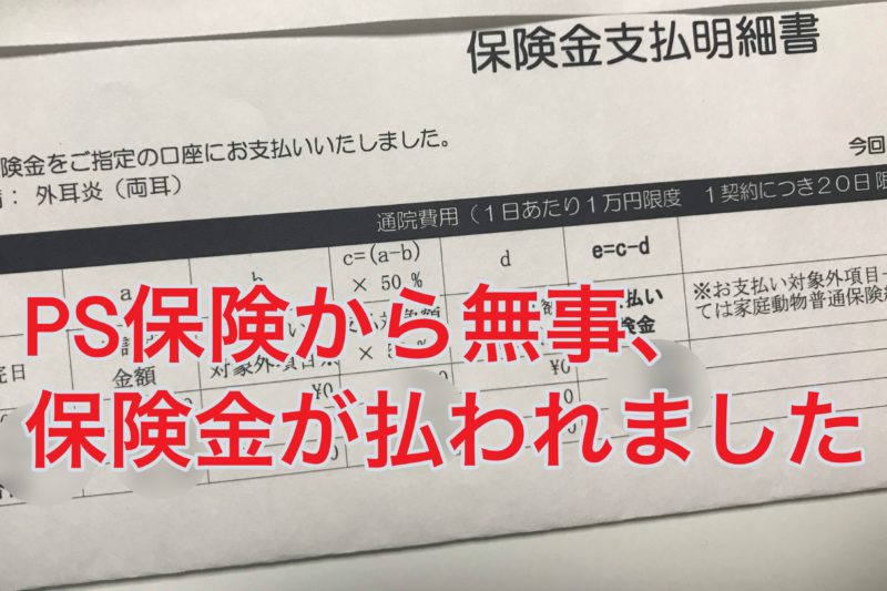 Ps保険 ペット保険の請求してみた 請求方法 入金の速さは 浜松市の犬連れお出かけ観光ガイド むぎさんぽ