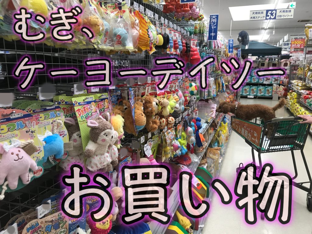 ペット可 新しい専用カートに乗って ケーヨーデイツー でお買い物 浜松市の犬連れお出かけ観光ガイド むぎさんぽ