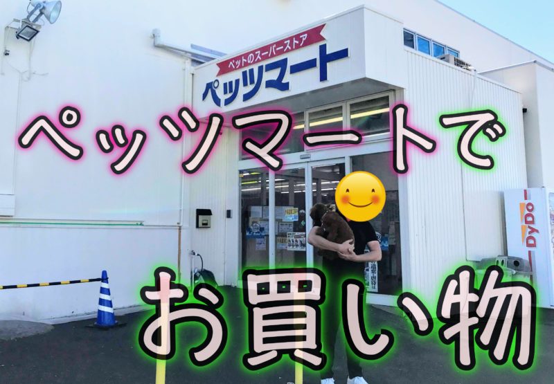 ペット可 新しい専用カートに乗って ケーヨーデイツー でお買い物 浜松市の犬連れお出かけ観光ガイド むぎさんぽ