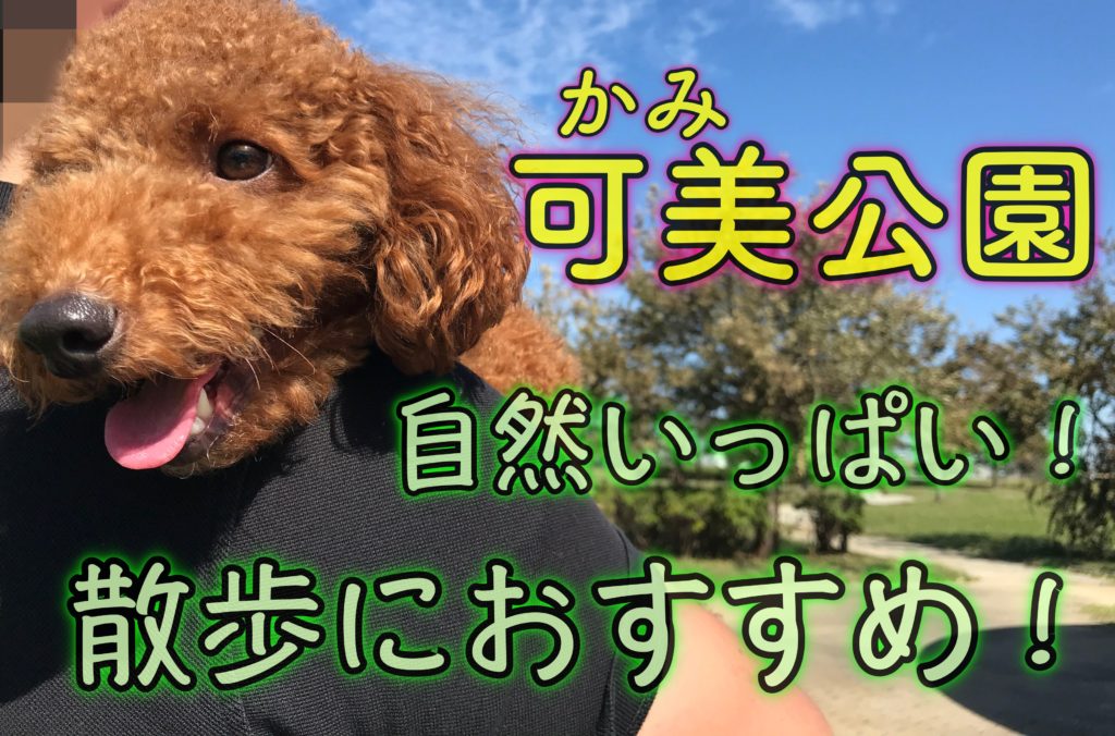 可美公園 犬連れ ペット可な公園をてくてく散歩 むぎさんぽ 浜松市犬連れ観光ブログ