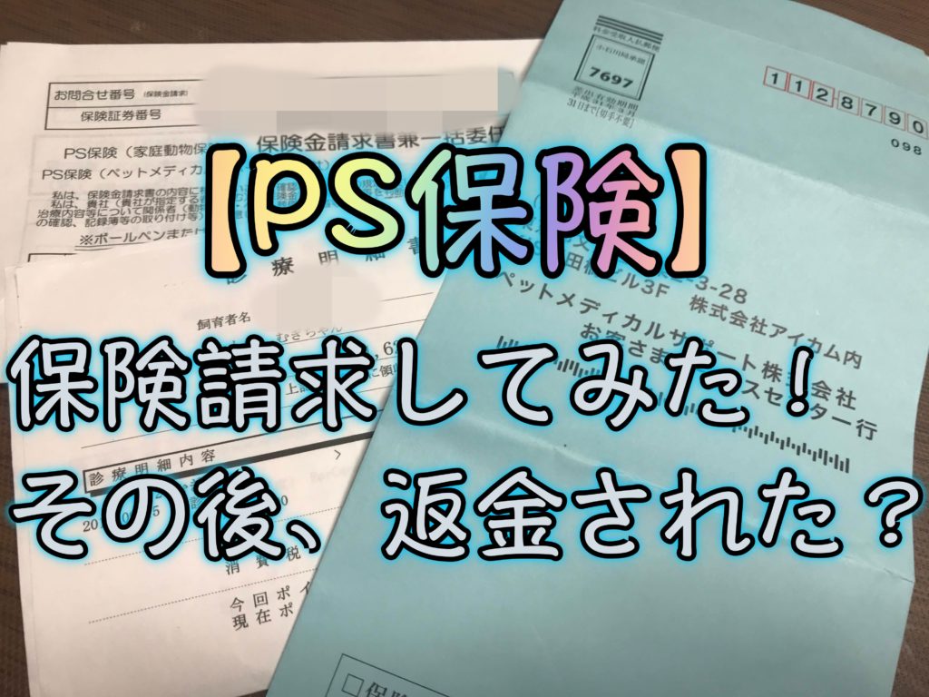 Ps保険 ペット保険の請求してみた 請求方法 入金の速さは 浜松市の犬連れお出かけ観光ガイド むぎさんぽ