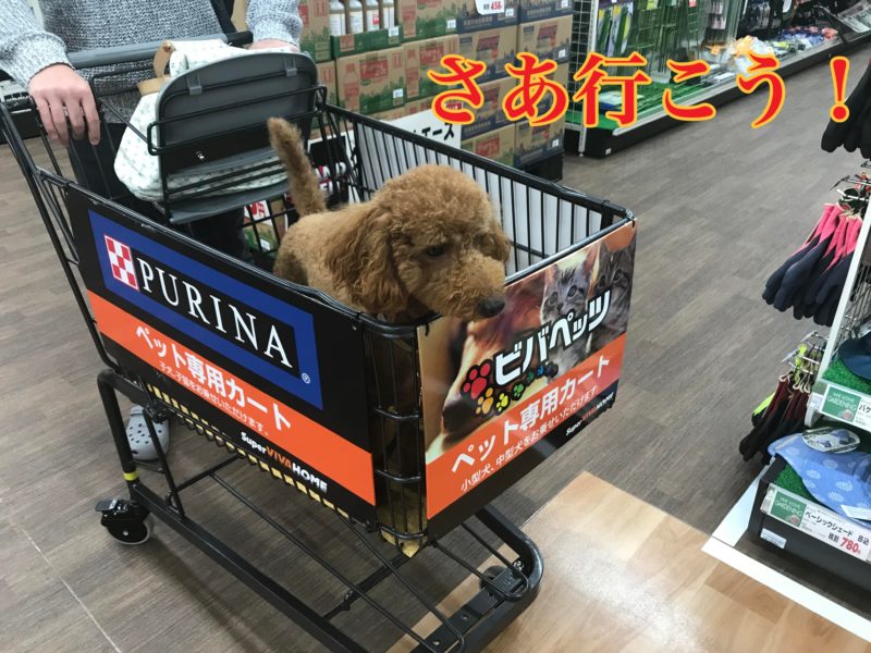 磐田市 スーパービバホームが開店 ペット可の潜入レポ 浜松市の犬連れお出かけ観光ガイド むぎさんぽ