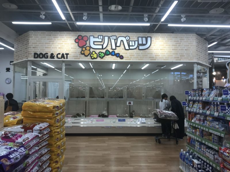 磐田市 スーパービバホームが開店 ペット可の潜入レポ 浜松市の犬連れお出かけ観光ガイド むぎさんぽ