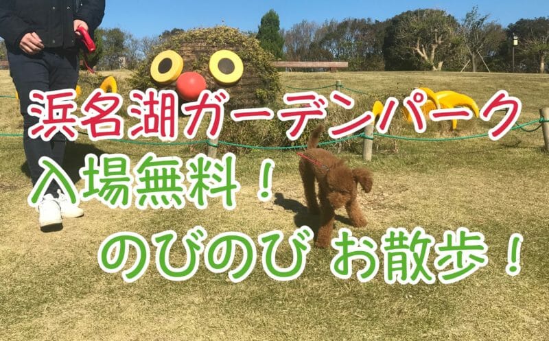 ペット可 浜名湖ガーデンパークは家族 犬連れに大人気 むぎさんぽ 浜松市犬連れ観光ブログ