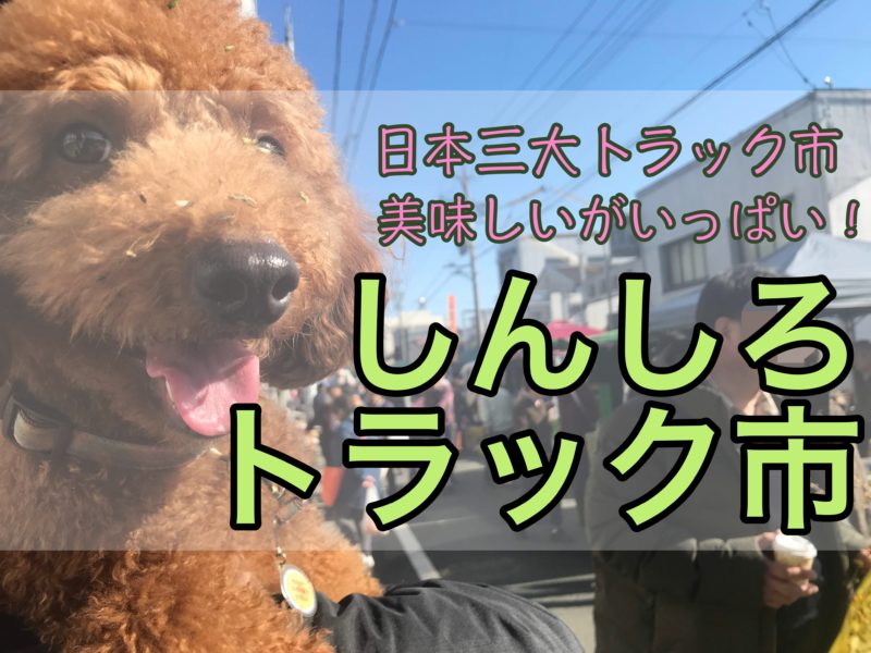 愛知県新城市 しんしろ軽トラ市 食べ歩き 買い物天国 浜松市の犬連れお出かけ観光ガイド むぎさんぽ
