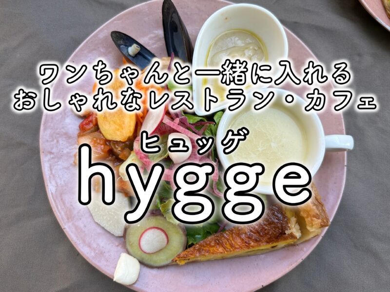 Hygge ヒュッゲ 磐田市 犬連れok 大人女子に人気レストランカフェ むぎさんぽ 浜松市犬連れ観光ブログ